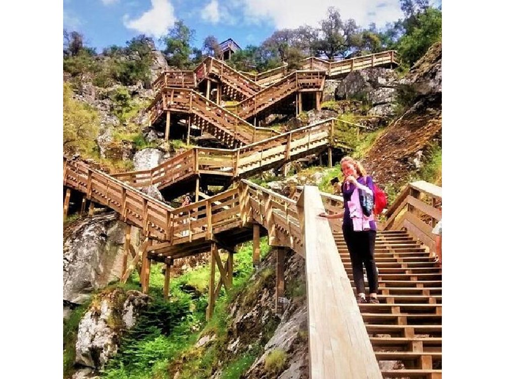 From Porto: Aveiro, Paiva Walkways, Suspension Bridge and Lunch