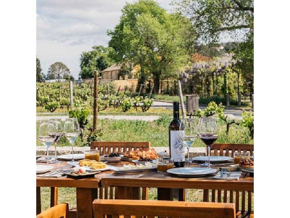 From Barcelona: Torres Winery Tour with wine tasting & tapas