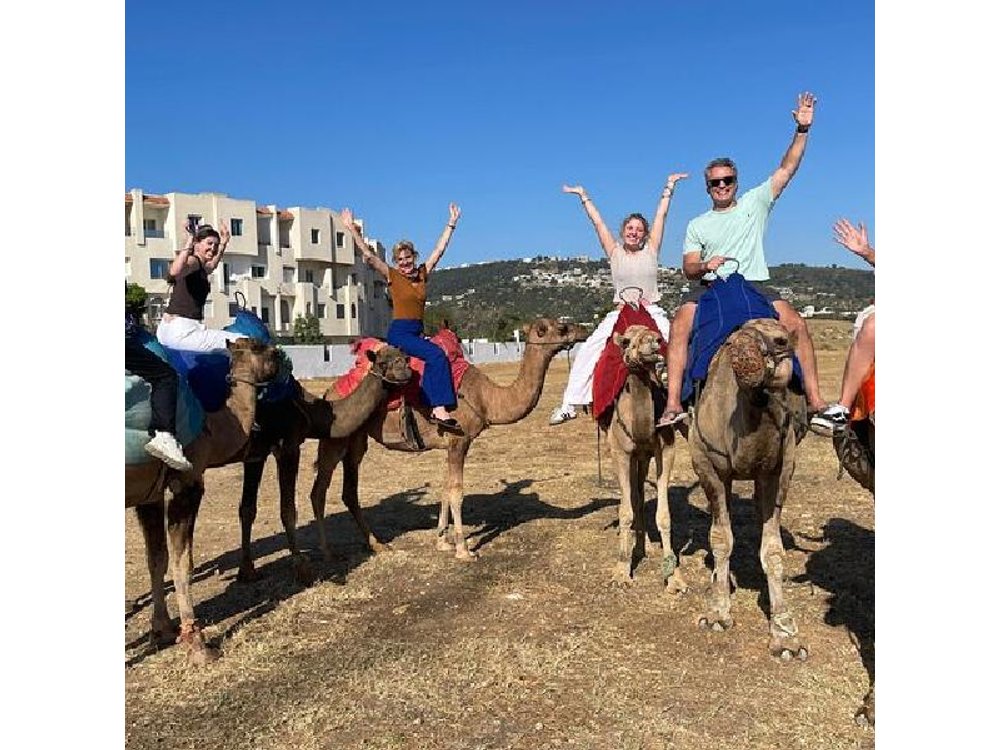 Private luxury tour in Tangier, including camel ride.