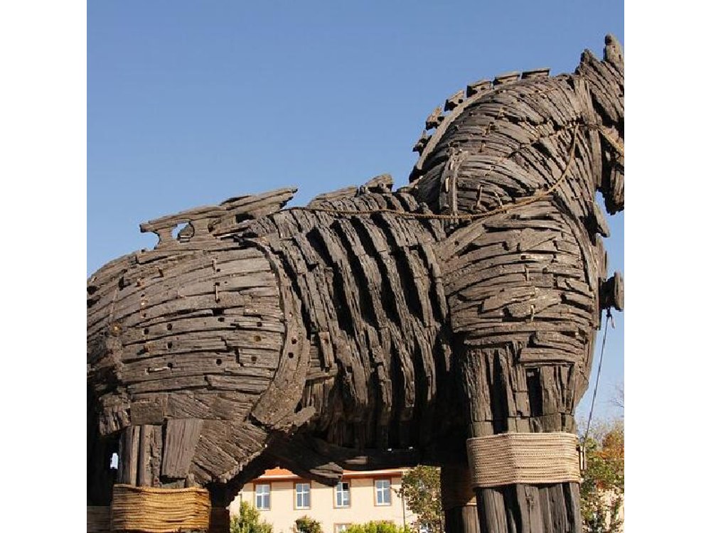 Homer's Legend: Troy Day Trip from Istanbul with Private Guide