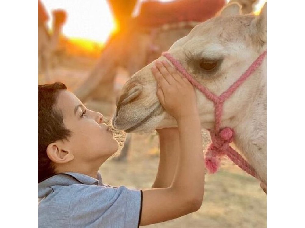 From Marrakech Moroccan Breakfast and camel ride in Agafay Desert