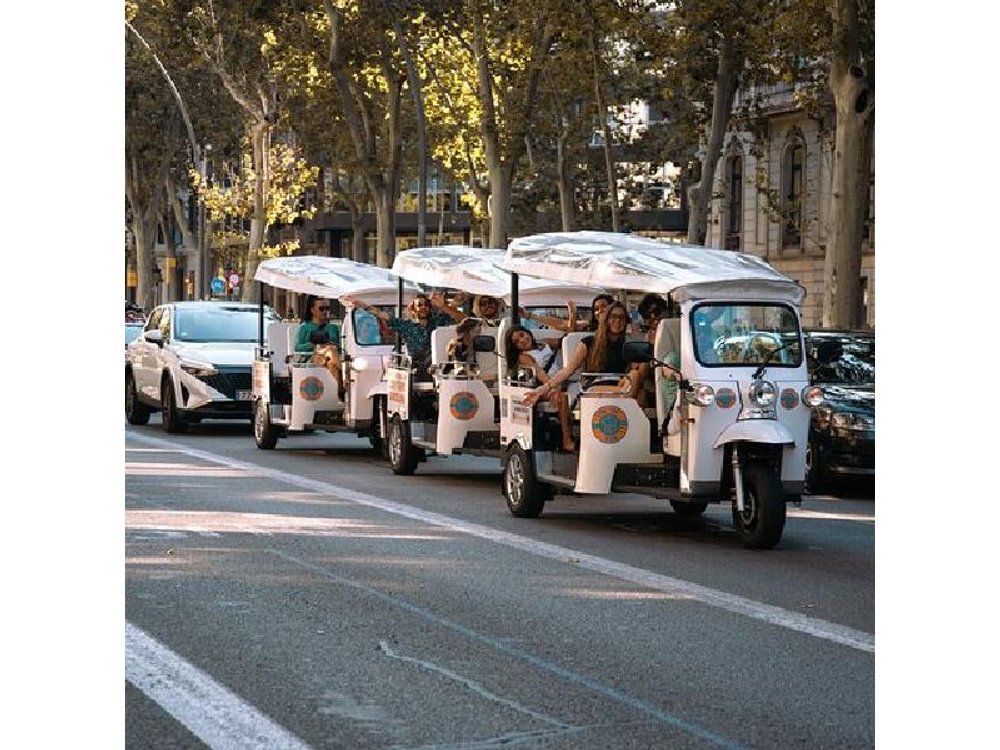 Official Tuk Tuk BCN l Barcelona 2 Hours City Tour