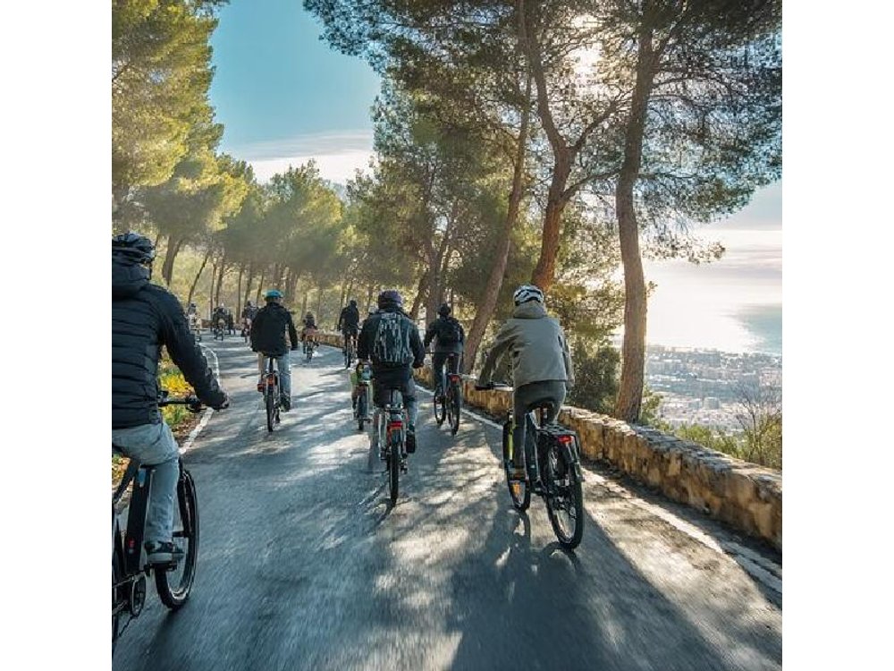 Malaga 2 Hours E-Bike Tour with Gibralfaro Forest