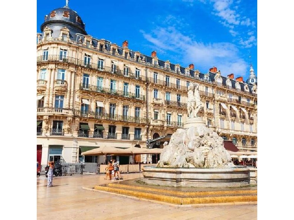 Montpellier Private Walking Tour with a Local