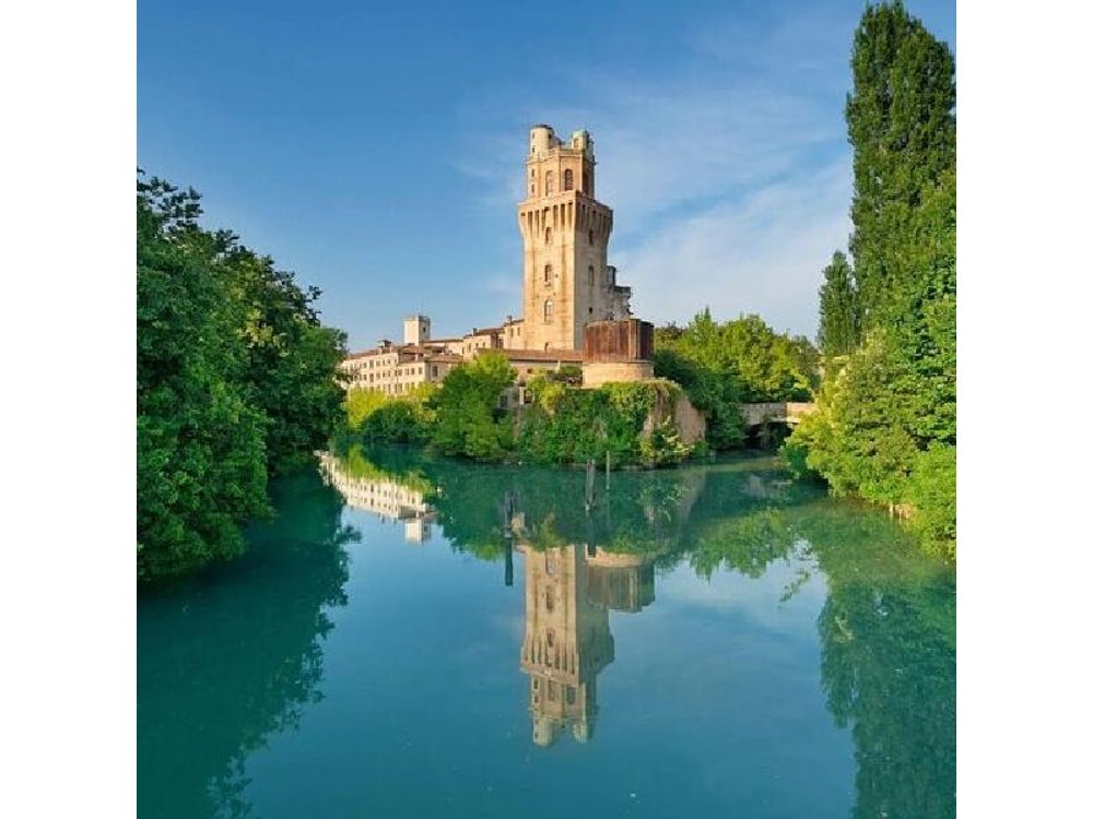 Padova Private Walking Tour with a Local