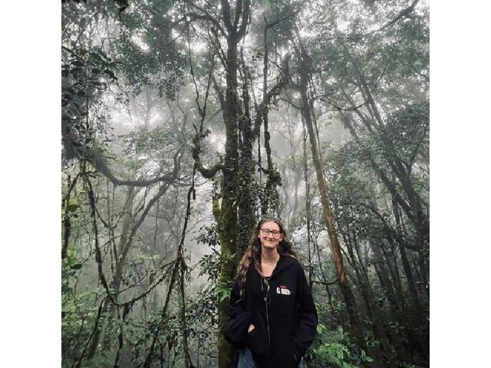 Cameron highlands Mossy Forest Halfday Tour (Shared Tour)