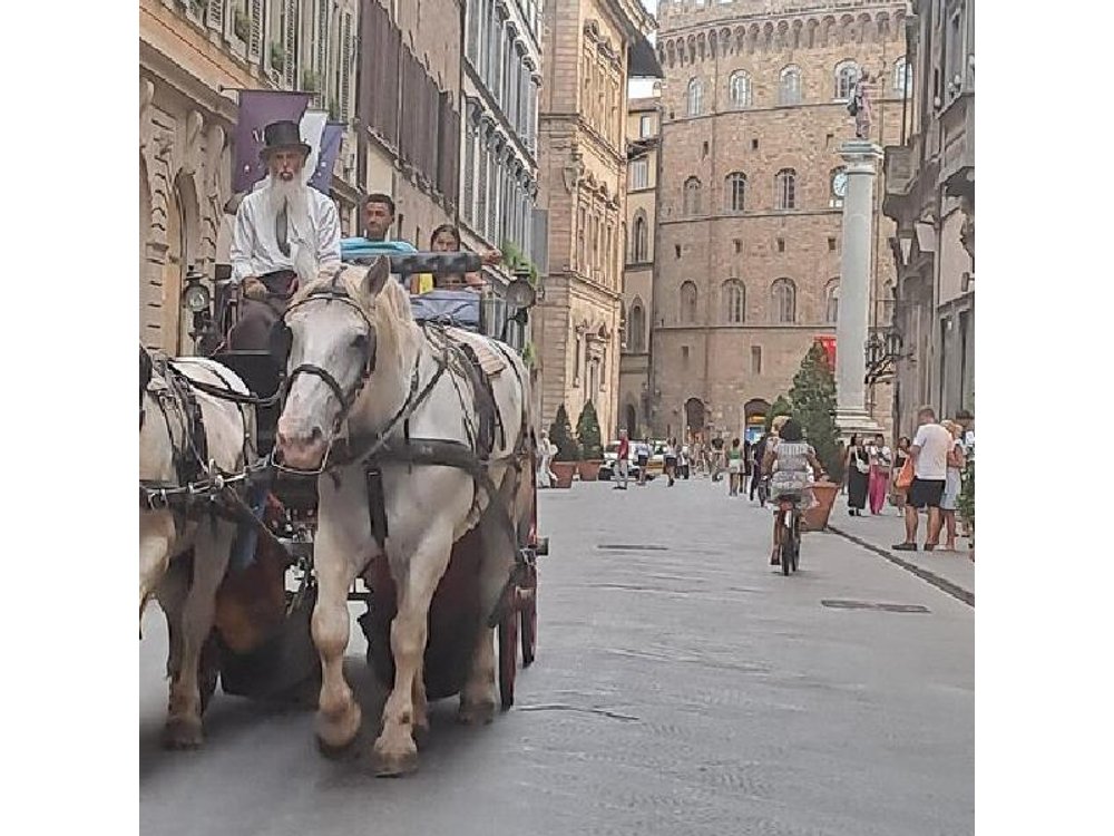 Florence : Carriage Tour in the Old Town – Romantic Tour