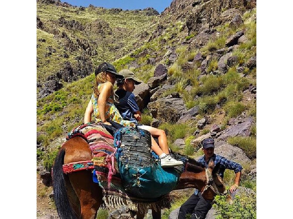 Atlas Mountains Day Trip from Marrakech with Lunch