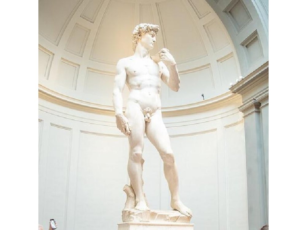 Florence Accademia Gallery Tour with Entrance Ticket Included