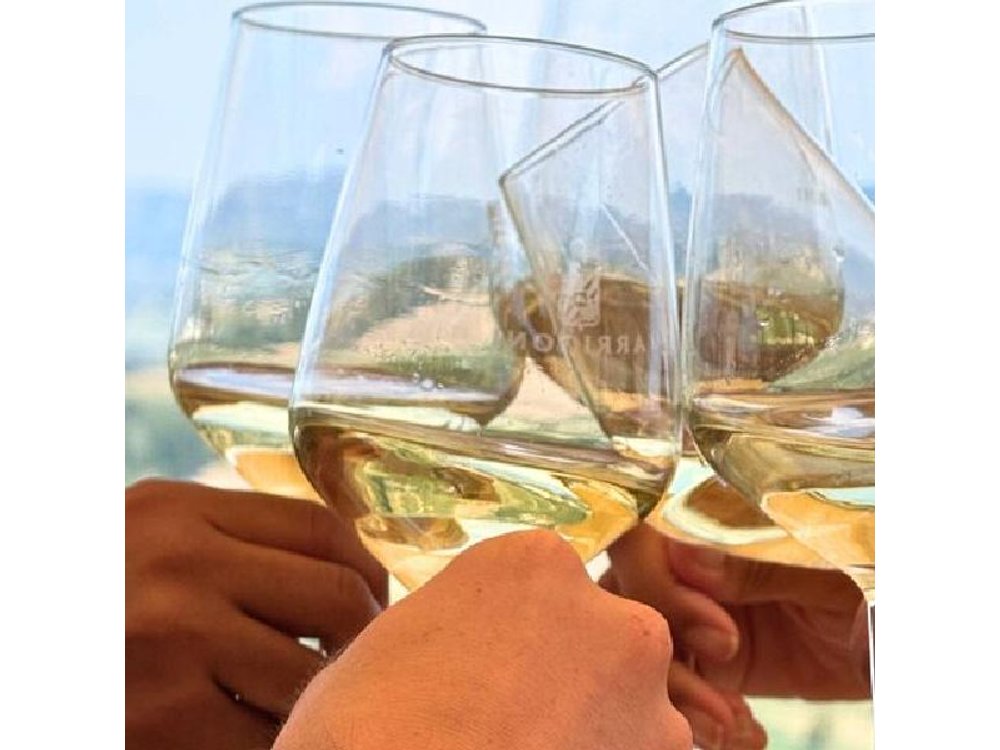 Half-day Chianti Classico Wine tour from Florence - Small Group