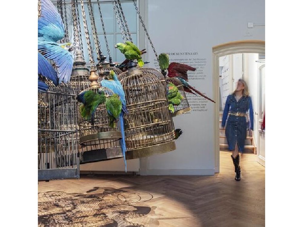 Art Zoo Museum Amsterdam Tickets