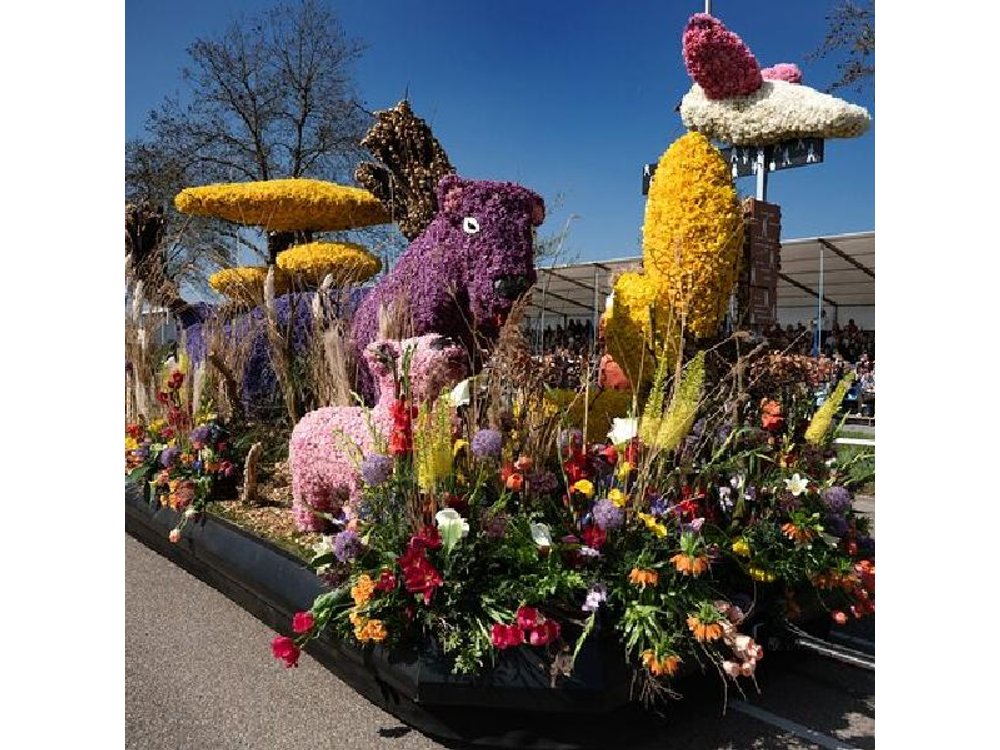 Flower Parade 17 April with Grandstand & Keukenhof from Amsterdam