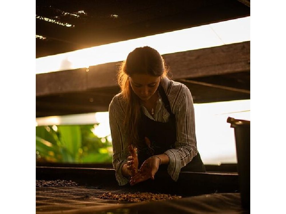 Coffee Tour from Bogota at La Palma Plantation and El Tucan