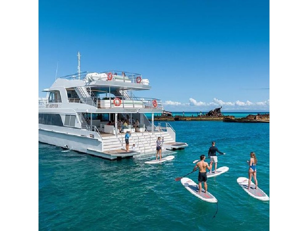 Moreton Island & Tangalooma Wrecks Snorkel Cruise - Gold Coast