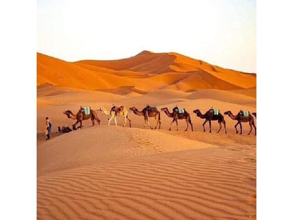 Merzouga Desert Tour from Marrakech Sahara Camel Ride & CamP