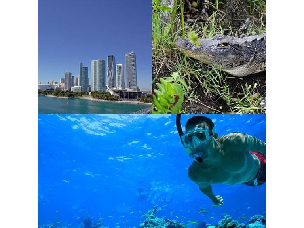 3-Day Florida: Key West Snorkeling, Miami Bus & Boat & Everglades
