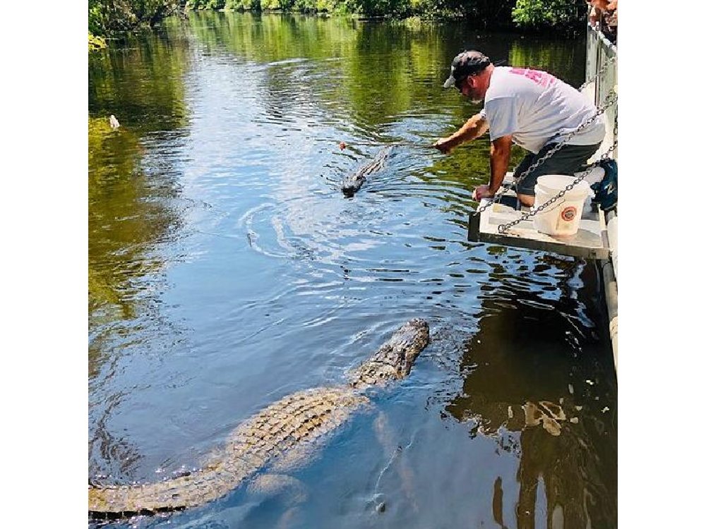 Swamp Boat Ride and Whitney Plantation Tour from New Orleans