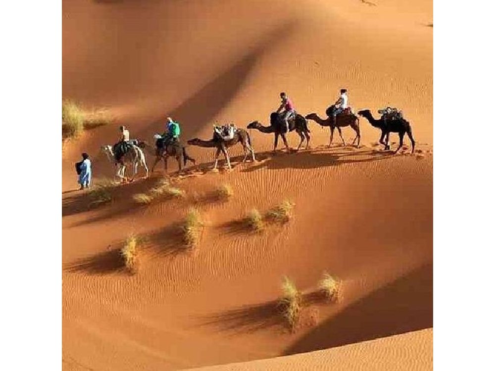 Marrakech: 4 days of adventure in the Sahara desert