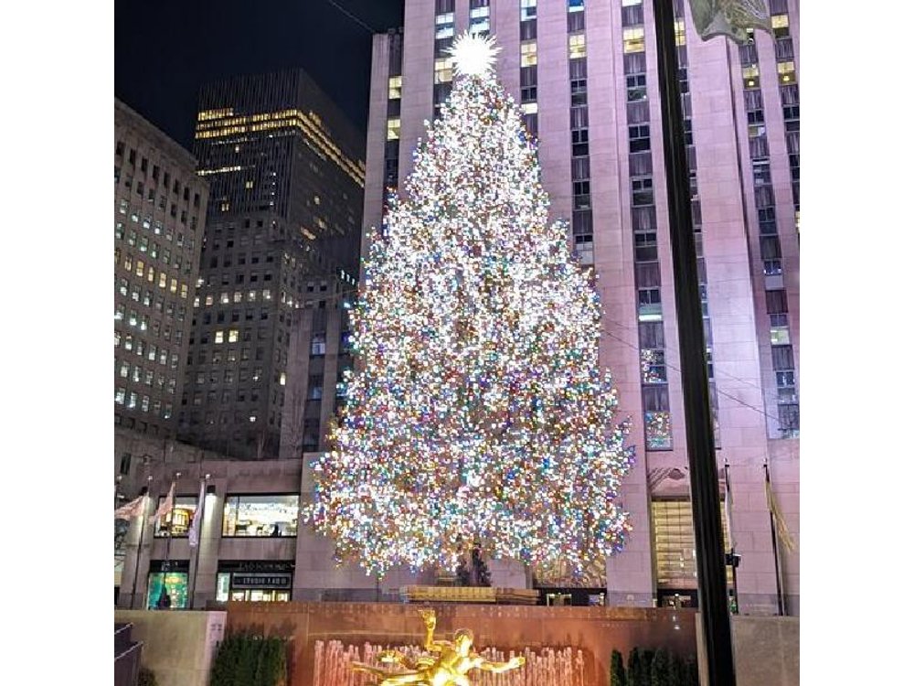 New York City Holiday Lights Tour