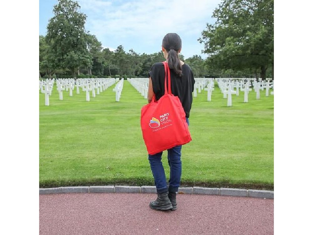 Normandy D-Day Tour Guided Small Group From Paris