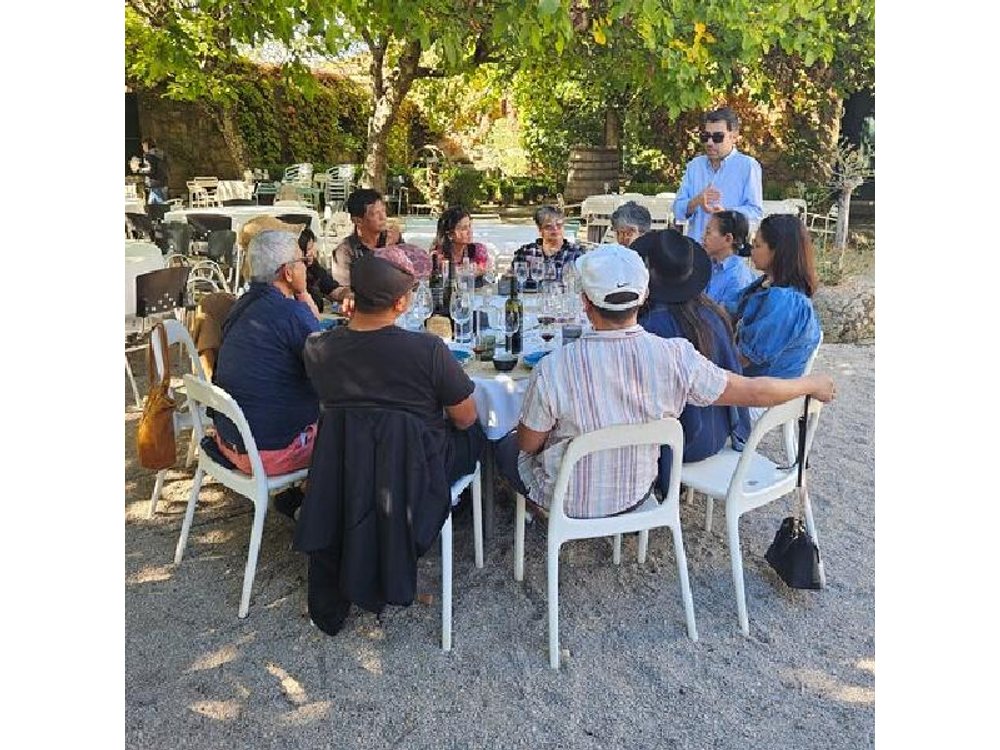 Tour or Disposal- Douro Valley Wine Region with a Sommelier