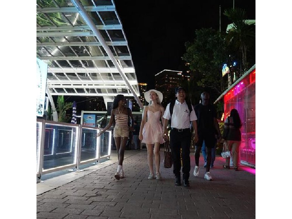 Miami Small-Group Night Tour with Skyview Wheel