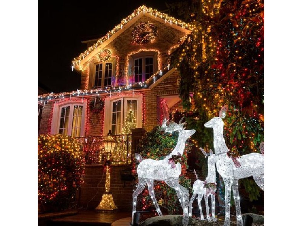 Tour New York City Contrasts and Dyker Heights Lights