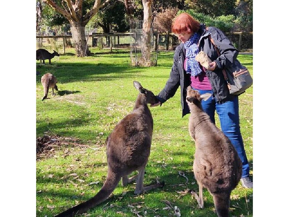 Adelaide Hills Cleland and Hahndorf Premium Full Day Cruise Tour