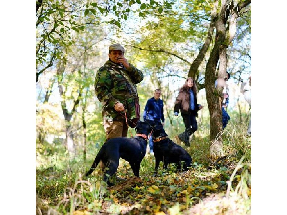 Black Truffle Hunt, Foie Gras & Wines with Budapest Pickup