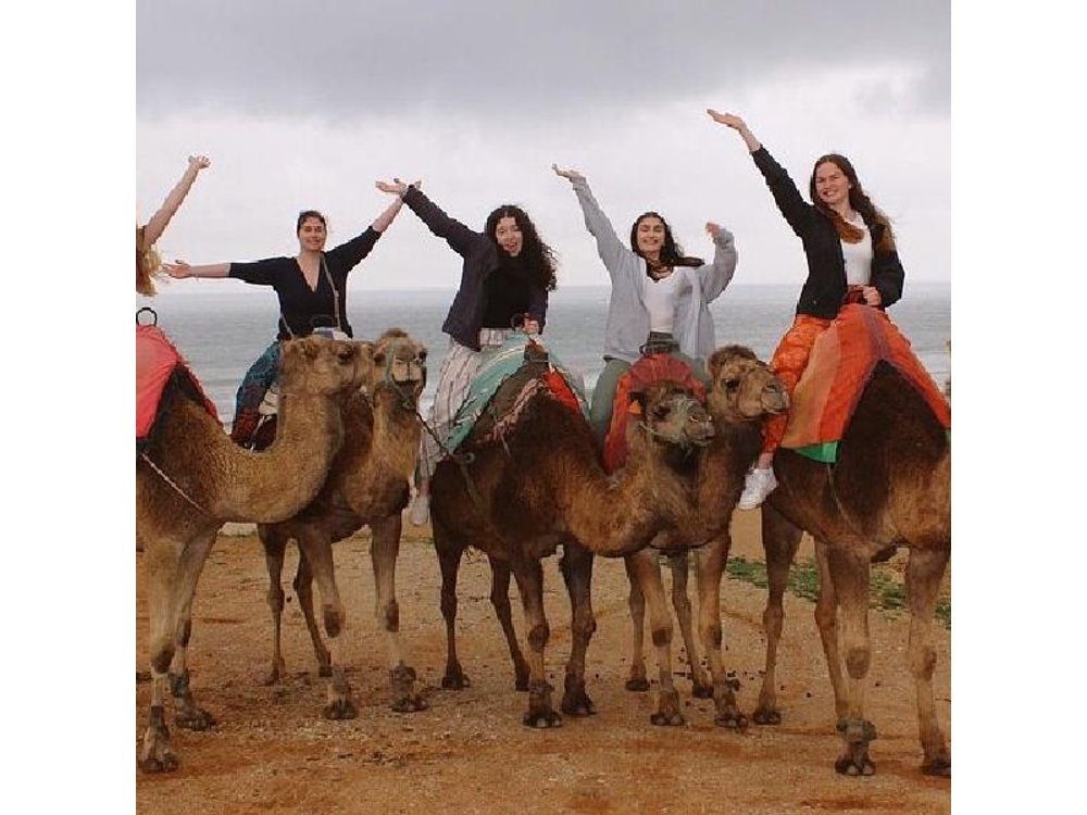 Best of Tangier 4-Hour Private Tour with Camel Ride