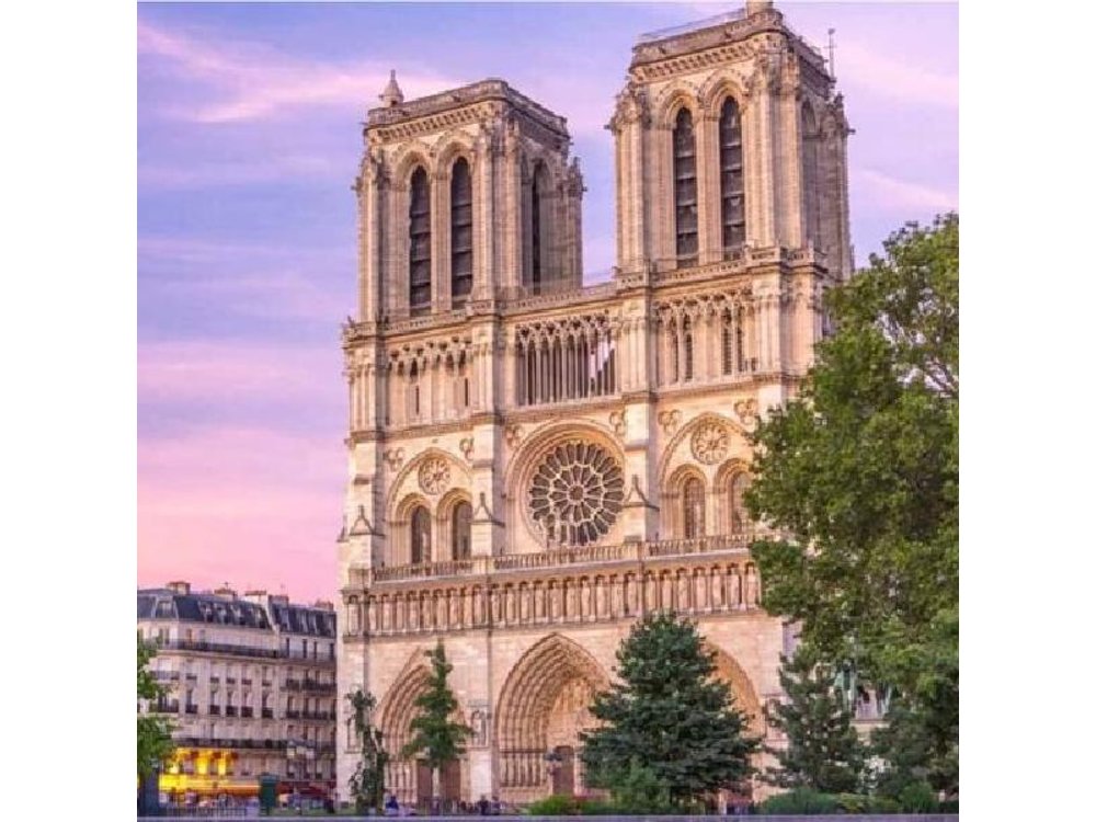 Notre Dame de Paris: Semi Private or Private Guided Tour Guide