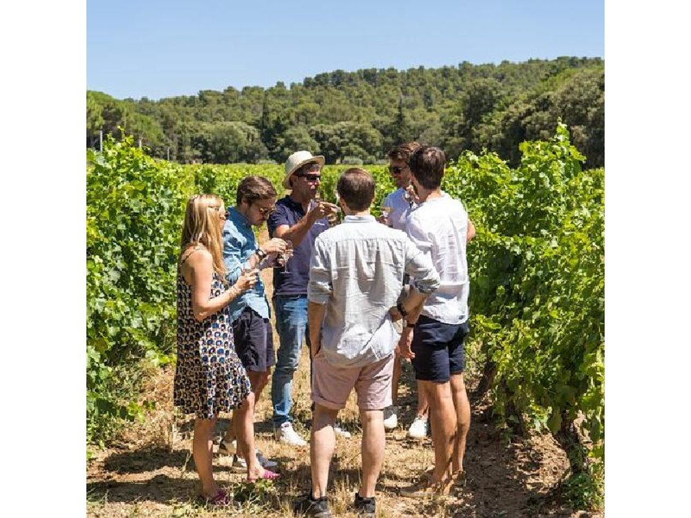 Provence Wineries and Luberon Villages Day Trip from Aix-en-Provence