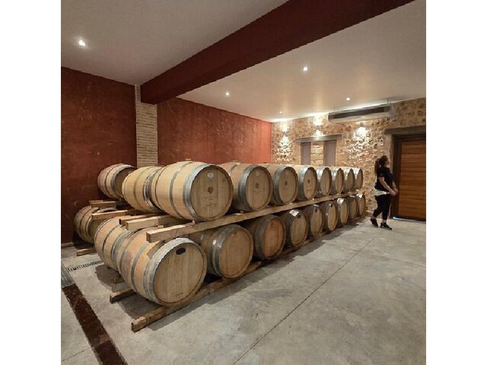 Nemea Wine Tasting & Nafplio Full-Day Private Tour from Athens