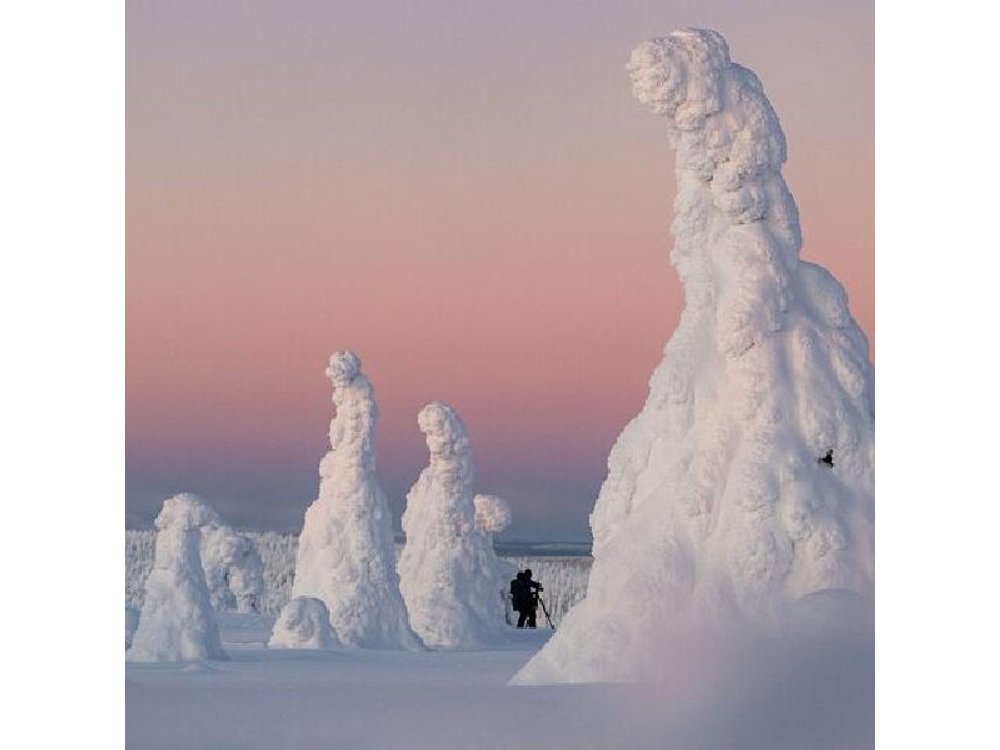 Riisitunturi Snow Monsters Winter Hike from Rovaniemi with Lunch