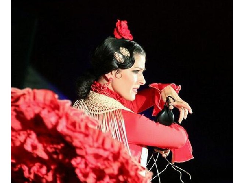 The Best Flamenco in Madrid Show with Dinner and Drink