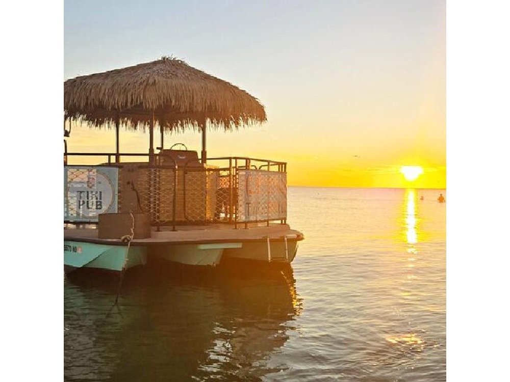 Fort Myers: Tiki Pub VIP Private Dolphin & Sunset Cruise