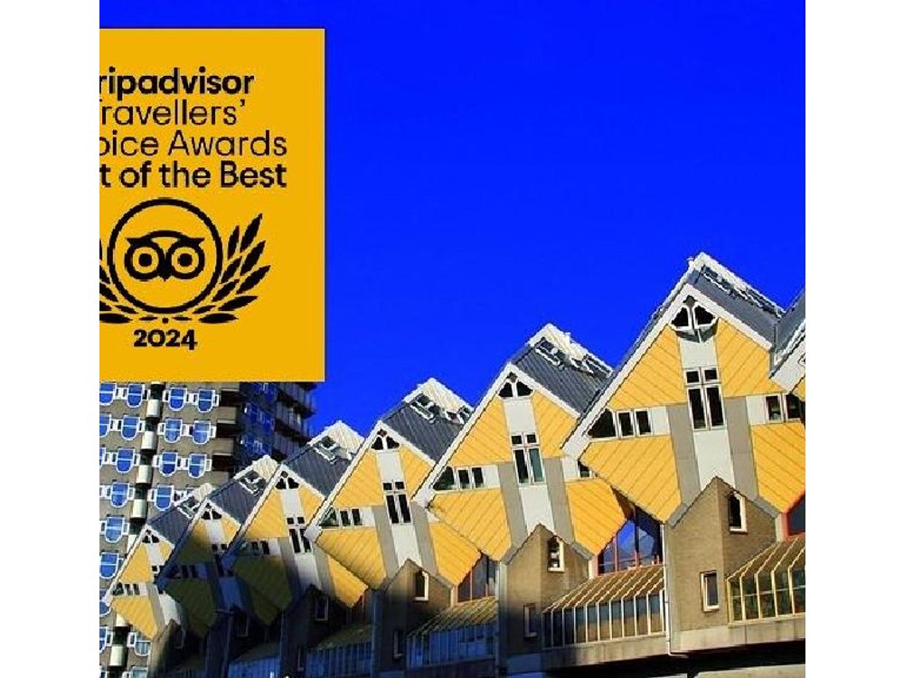 MUST DO: Rotterdam highlights & history with a local guide
