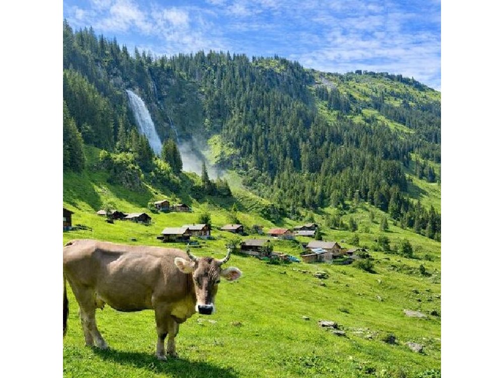 Alpine Food Tour from Zurich – Swiss Indulgence & Panorama