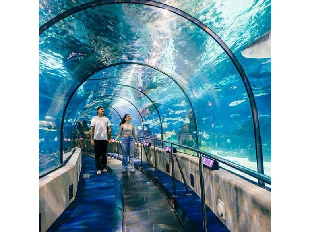 Barcelona City Tour Hop-On Hop-Off and Aquarium