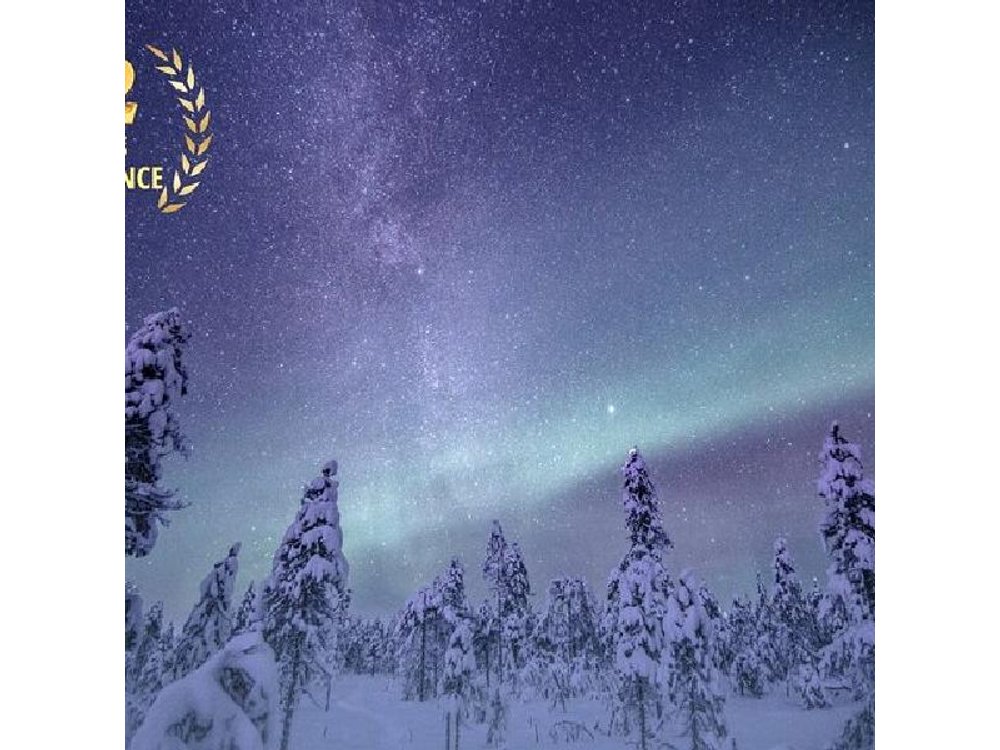 LEVI Night Star Walk on Snowshoes in the Wilderness(ALL INCLUDED)