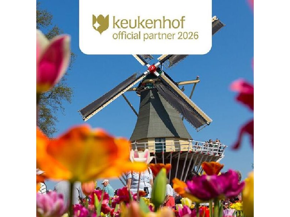 Amsterdam: Keukenhof, Zaanse Schans & Volendam Tour