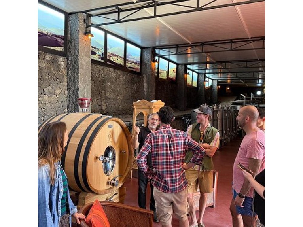 Lanzarote Family Winery: Lava Flow Tour and Wine Tasting