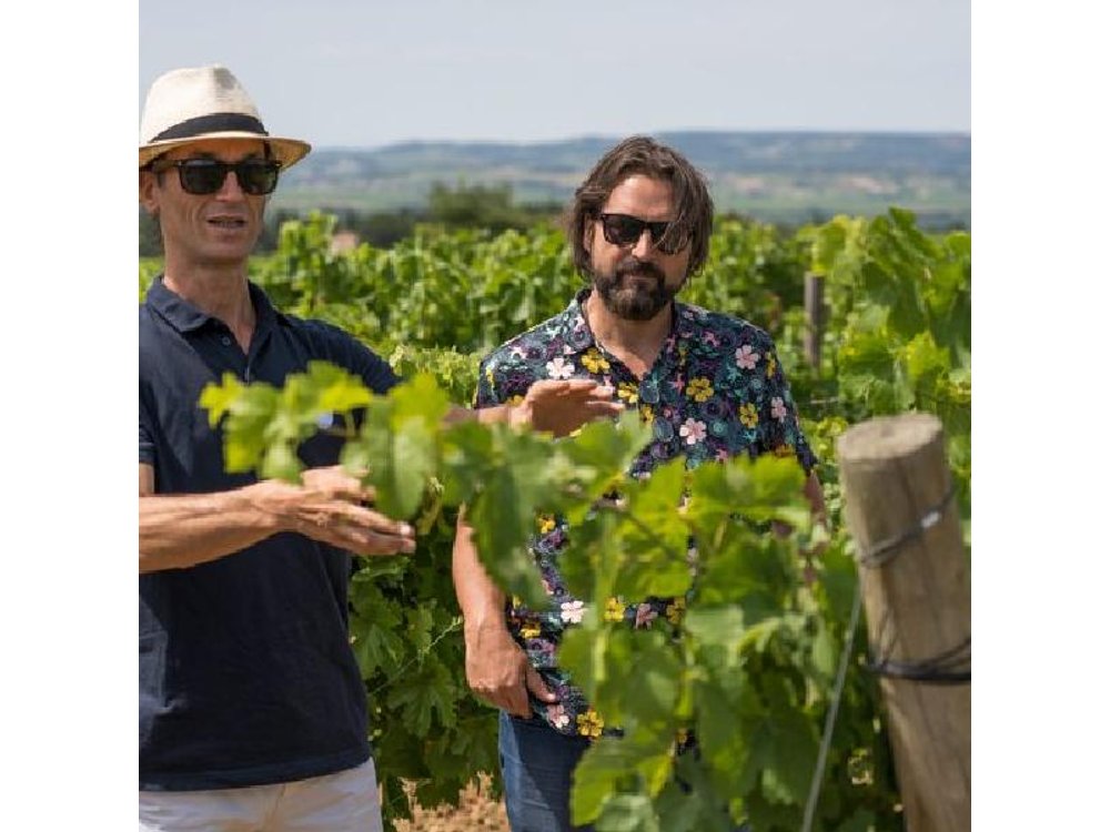 Afternoon Wine Tour to Chateauneuf du Pape from Avignon