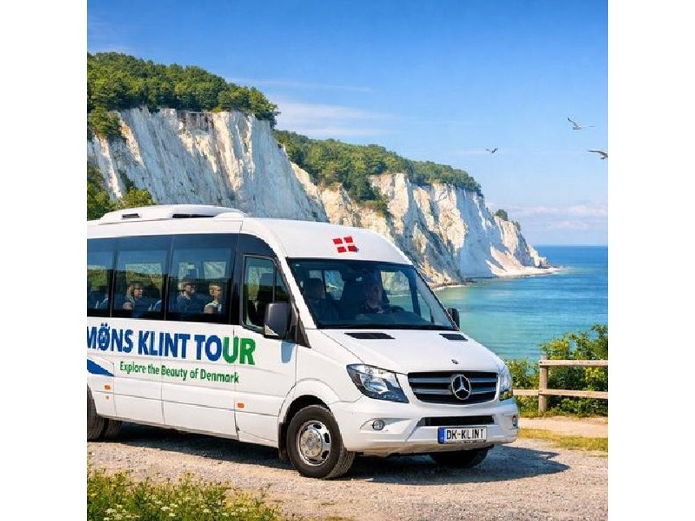Møns klint and The Forest tower - A day tour from Copenhagen