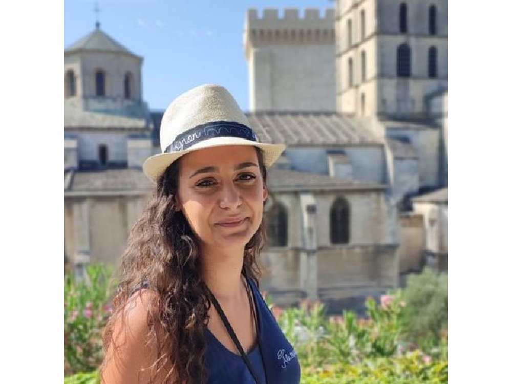 Avignon Walking Tour including Pope's Palace