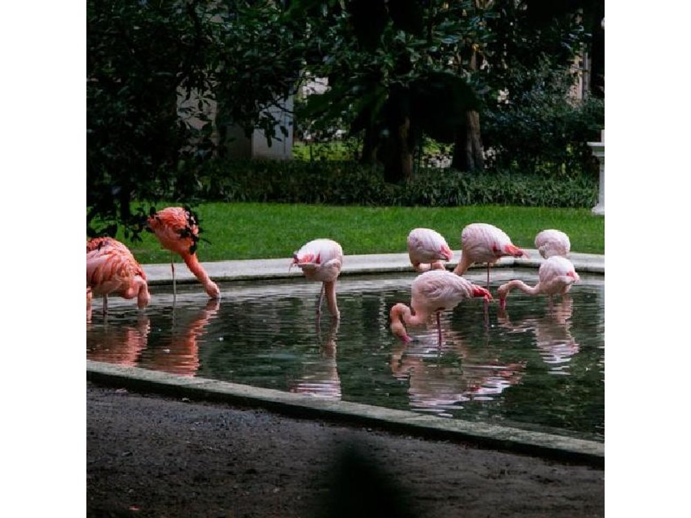 The Secret Milan – An Exclusive Stroll Beyond the Beaten Path
