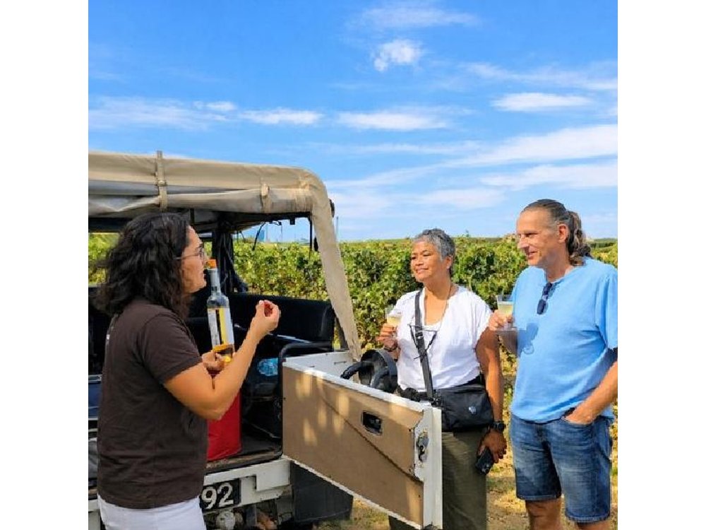 Winery, Tastings & 4x4 Vineyards Tour, Half Day Trip from Lisbon