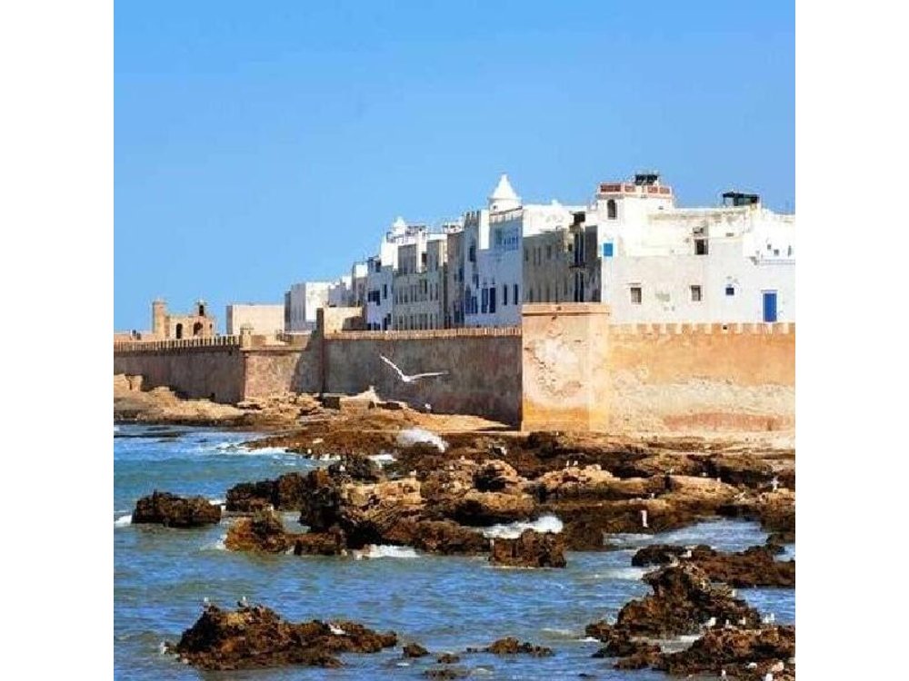 From Marrakech : Essaouira Full Day Trip & Optional Activities