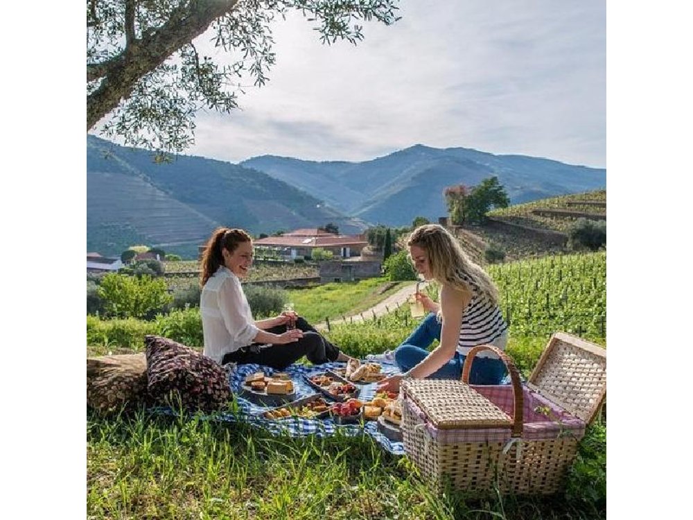 Private Douro Valley Tour from Porto