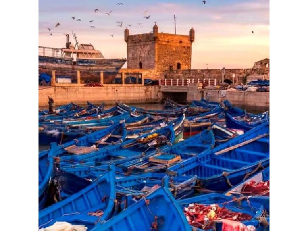 Marrakech: Small Group to Essaouira Day Tour, Unesco & Beach